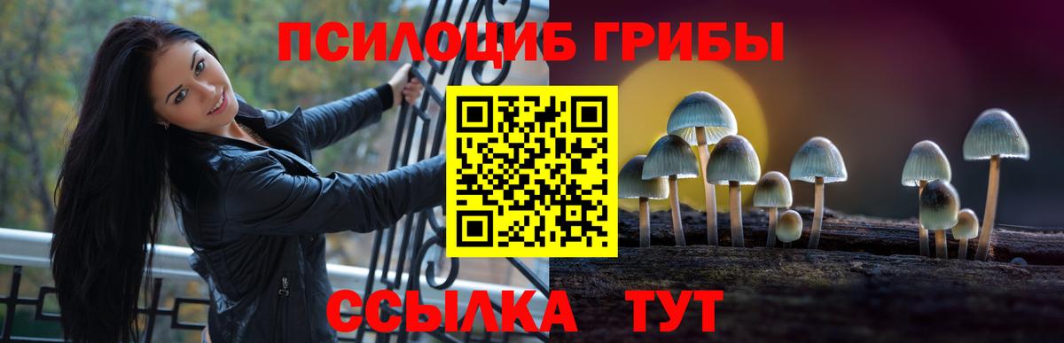 Псилоцибиновые грибы ЛСД Коркино